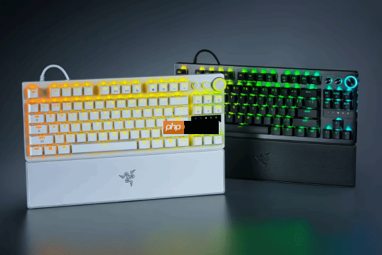 1999 元雷蛇猎魂光蛛 V3 专业版 8KHz 系列键盘发布:第二代 Razer 模拟光轴,人造皮革腕托 + 双色注塑 PBT 键帽