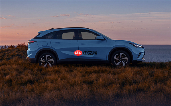 限时优惠价10.98万起 极狐全新阿尔法T5上市：用料很下本！