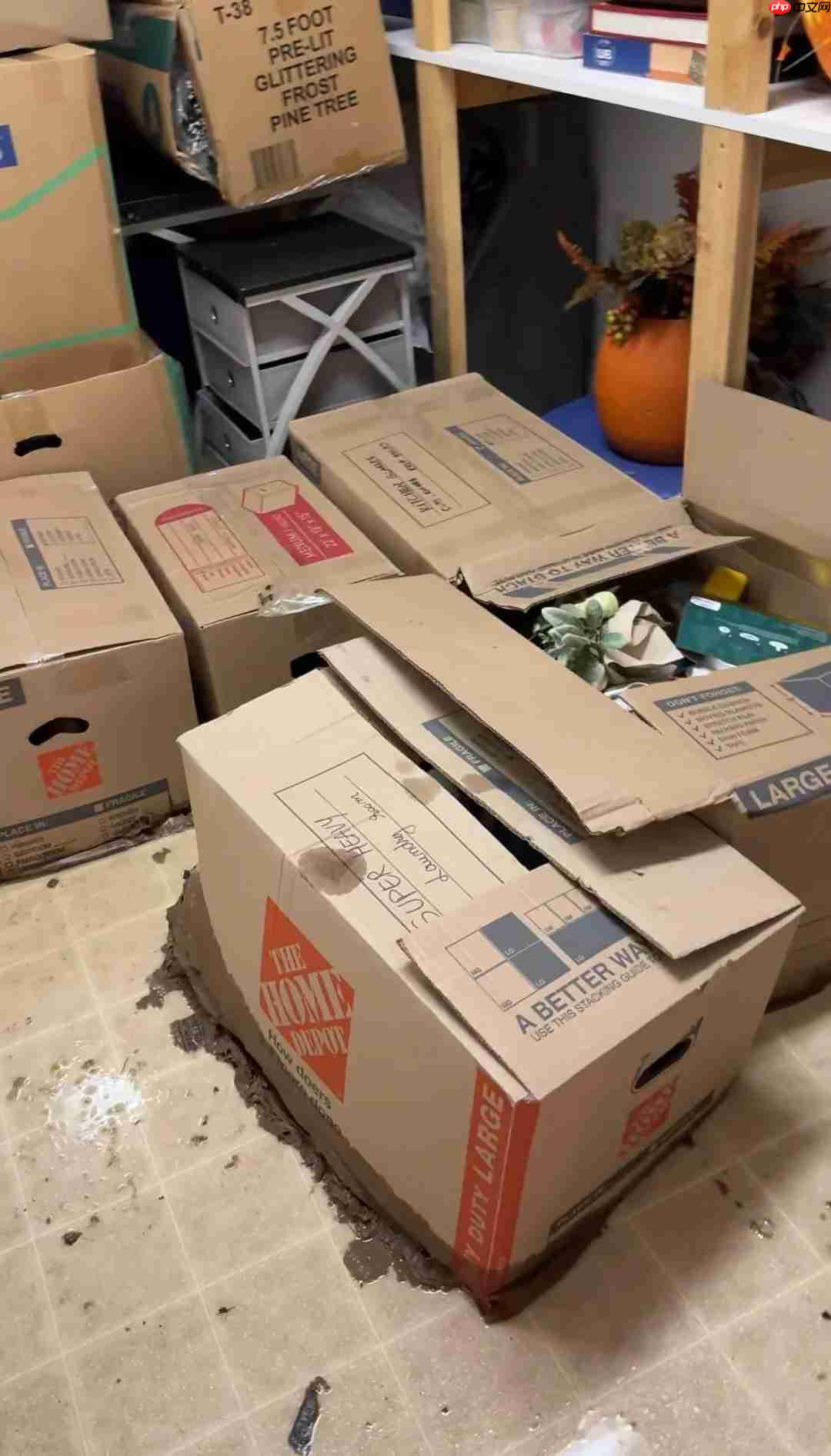 倒霉网友万元宝可梦卡牌被淹 保险理赔仅