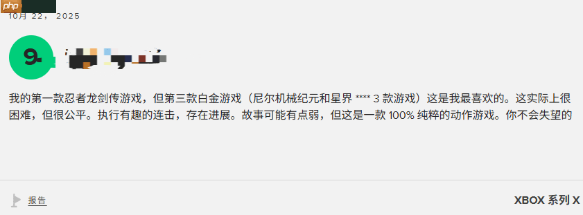 《忍者龙剑传4》M站玩家评分8.4分：音乐超赞 战斗太爽！