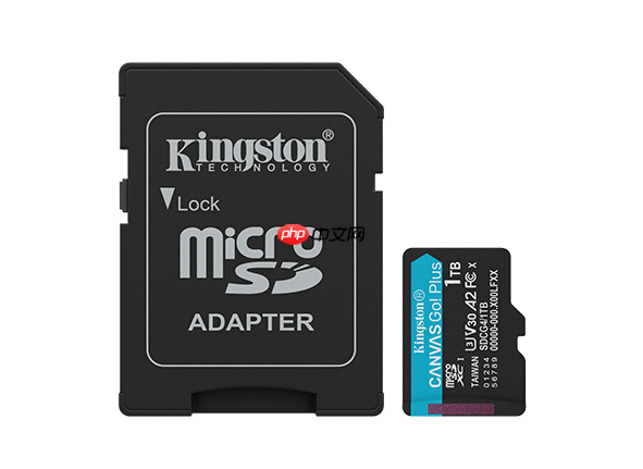 扩容刚需 金士顿新款CanvasPlus存储卡