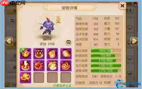 大唐官府终极宝宝搭配指南：点杀之王的完美僚机