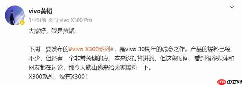 vivo产品副总裁称X300系列为“影像旗舰大小王”:没有标准版