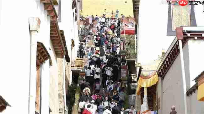 186.66万人次,18.37亿元!双节期间迪庆人气爆棚