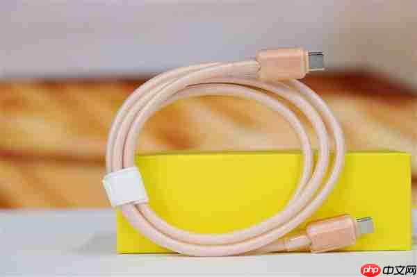 完美适配iPhone17全系快充！倍思同芯充Pro快充充电器套装图赏