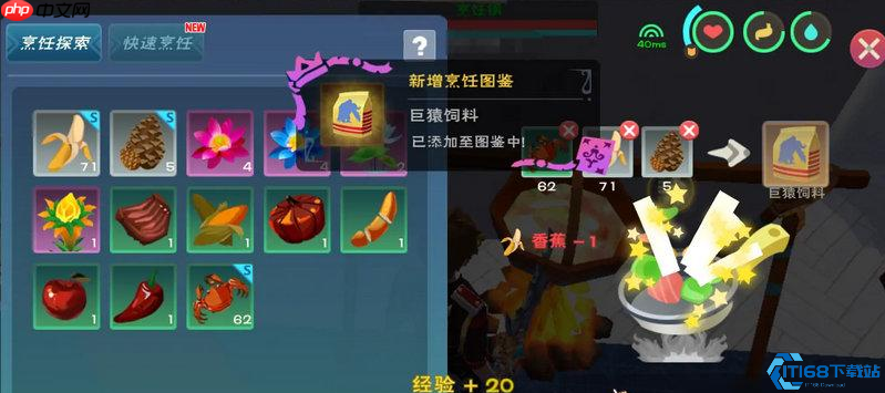 巨猿驯服终极指南：17包饲料开启的征服马拉松