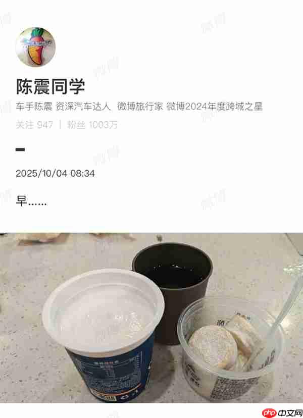 陈震劳斯莱斯车祸后发博 网友称跟没事一样：其妻发声