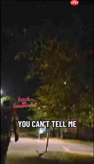 跨国催更！ 魔怔粉丝骚扰R星工作人员逼问GTA6情况