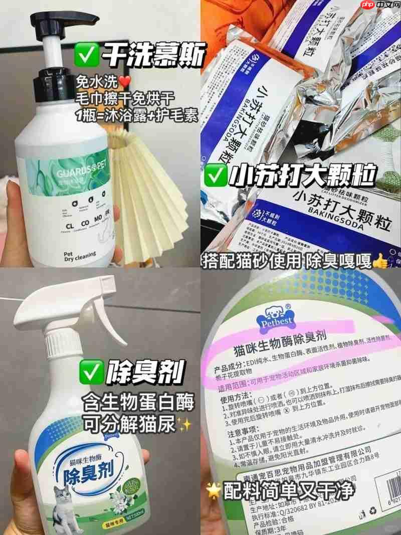 过敏性鼻炎总反复?选对除螨方法+ 工具,鼻子终于不遭罪