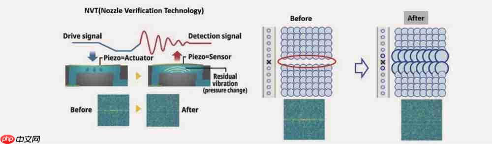 为产能突破而生!爱普生SurePressL-5034数码标签印刷机重磅上市