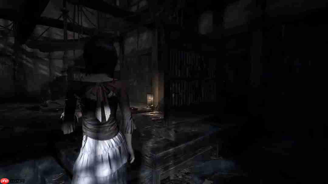 《零红蝶:重制版》新实机演示 姐妹牵手探索