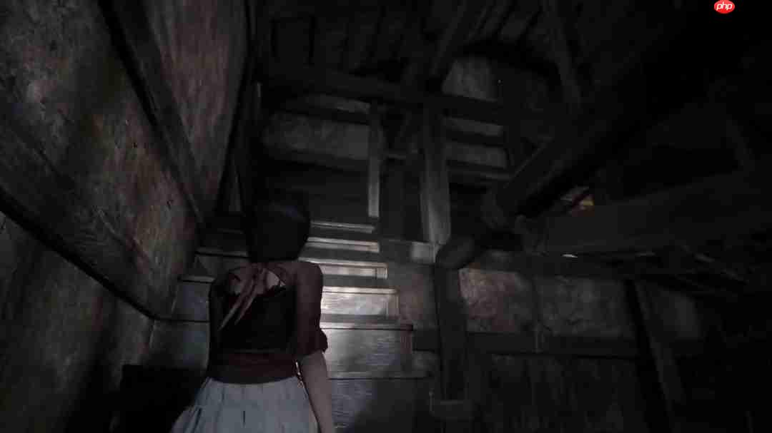 《零红蝶:重制版》新实机演示 姐妹牵手探索