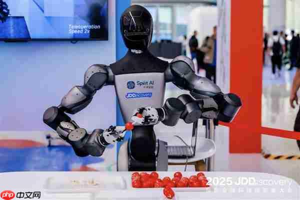 机器人叠衣、对话、踢足球 京东JDD大会上演“AI生活总动员”