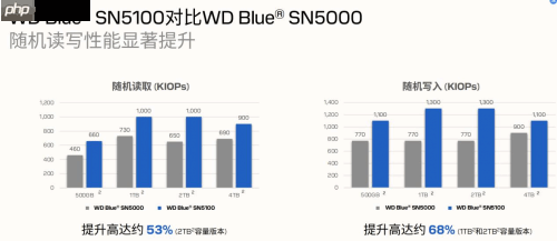 专为内容创作、AI应用打造的存储设备来了！闪迪媒体分享会展示新款SN5100 SSD