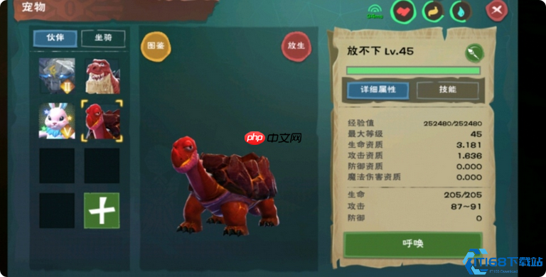 龟饲料全攻略:新手秒变驯龟大师,从入门到精通