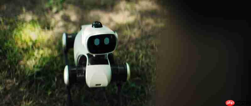 维他动力赵哲伦:具身智能的“无遥控”时代已来,中国机器人产业迎来黄金十年