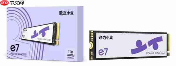 致态五周年重磅消息:旗下新品牌“致态小翼”正式官宣!首发两款新品