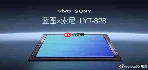 vivo X300 Pro:以双芯协同与蔡司2亿灭霸长焦 提升2025旗舰拍照新标准
