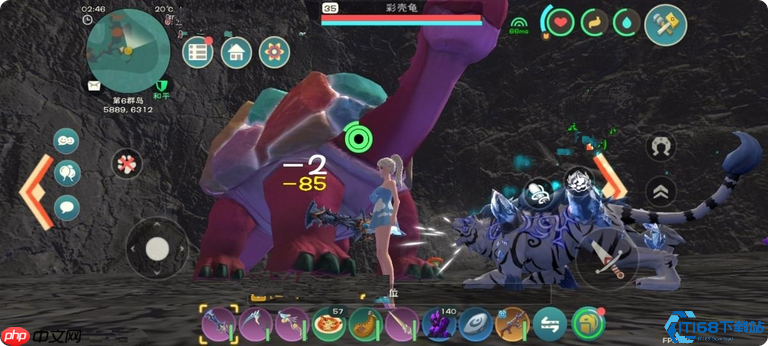 《创造与魔法》龟类驯养大全：从萌新到大师的龟速起飞指南