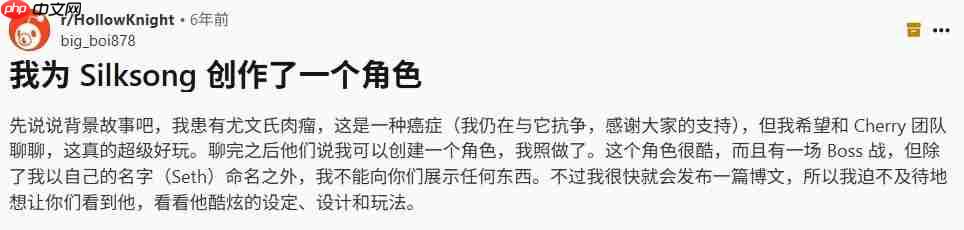 另一种方式的“永生”!《空洞骑士》已故粉丝在《丝之歌》里化为永恒