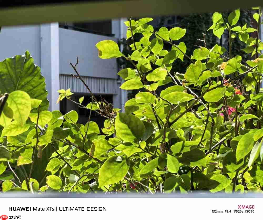 华为Mate XTs体验：降价2000元反而更强了，三折叠实用的开端？