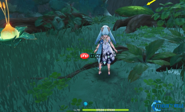 圣体菇保姆级采集路线:须弥全点位地毯式扫荡指南