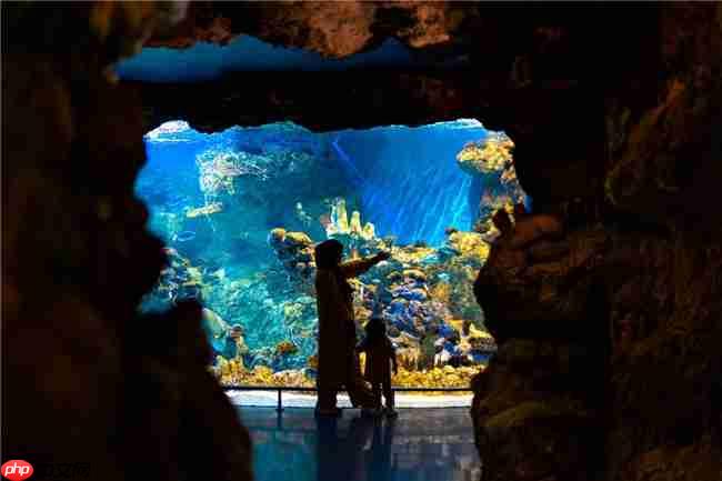 沙特在沪举办大型路演活动 深化与中国贸易伙伴关系