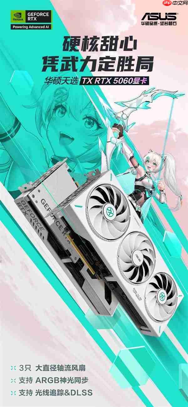 华硕RTX5060显卡轻松玩转《空洞骑士：丝之歌》