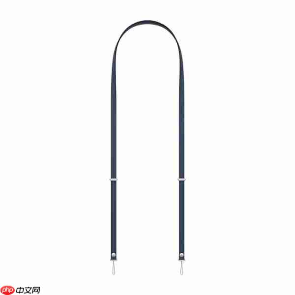 苹果客服回应iPhone 17挂绳卖479元:使用环保材质 罗永浩:可以说脏话吗