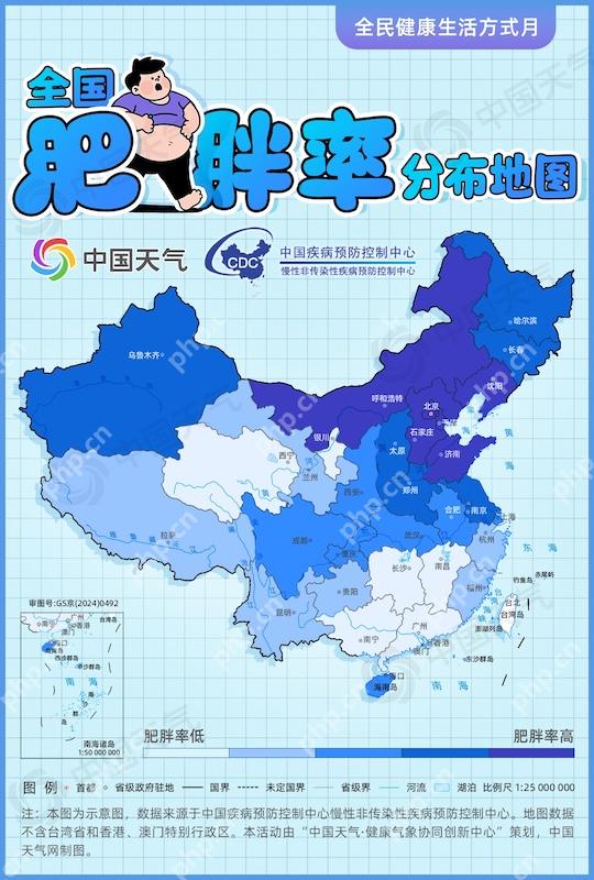 北京、天津、河北、山东每5人中就有1人肥胖! - php中文网