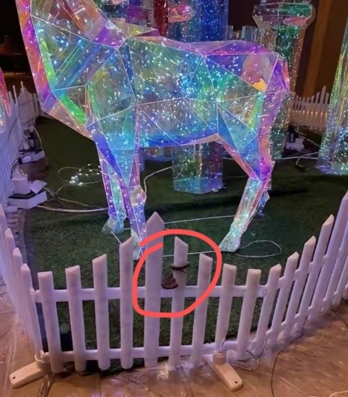 九寨沟一酒店大堂惊现毒蛇 酒店回应：已放生并进行消杀