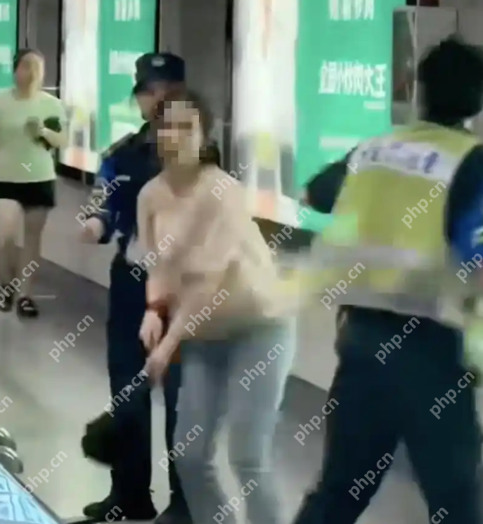 女子地铁拒绝安检追打工作人员被行拘 - php中文网