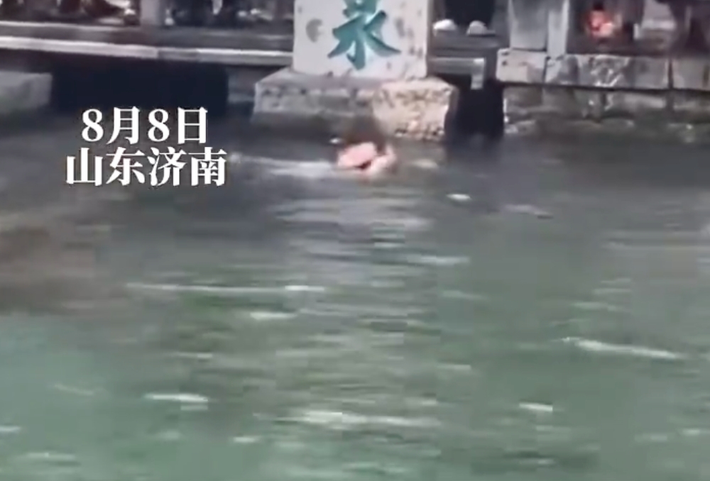 游客掉入趵突泉 网友：大家都是来看的，为什么你能又游又喝