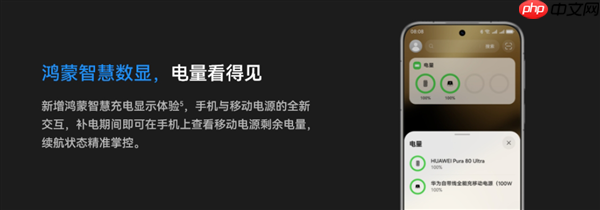 李小龙回应用华为充电宝充大疆Pocket 3会充爆：没任何问题