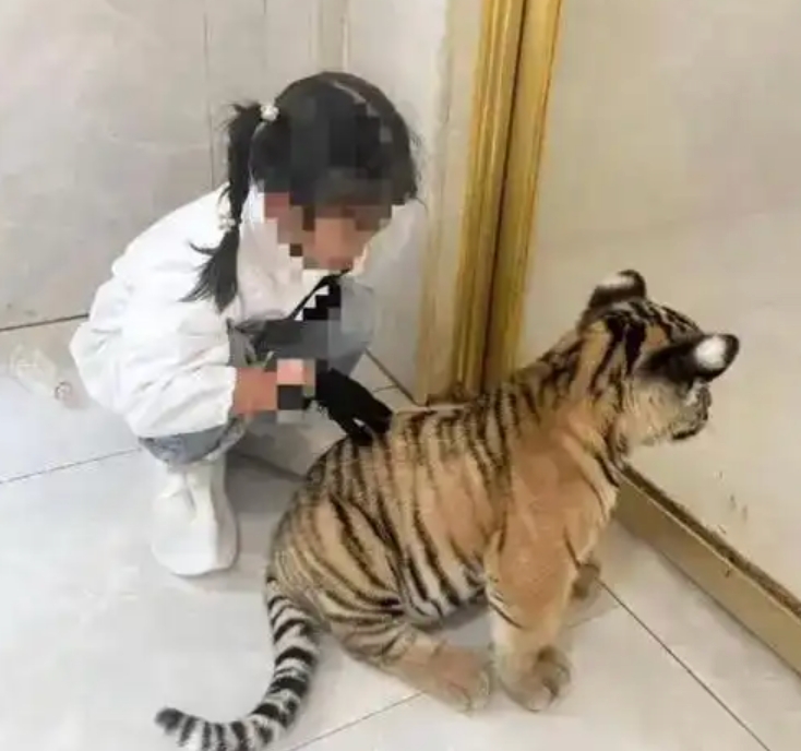 幼虎咬伤女童或与动物卡通化有关系是怎么回事？详情介绍