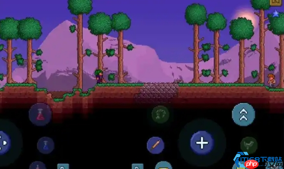 醉仙女的酒馆：泰拉瑞亚肉后最强增益与致命代价全解析