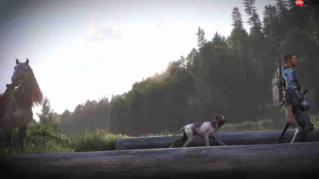 《天国:拯救2》照片模式升级 游戏摄影爱好者狂喜