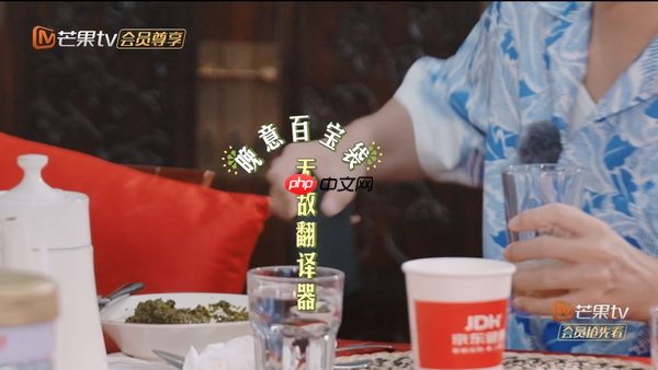 《花儿与少年》同款翻译机京东热销 讯飞双屏翻译机2.0享超值特惠