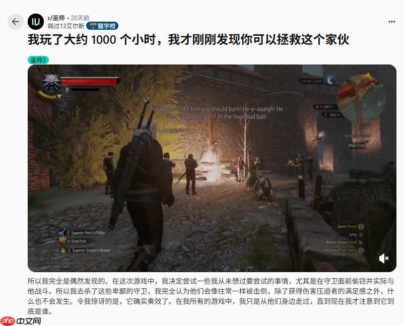 《巫师3》游玩1000小时玩家惊喜发现：这个角色能救？