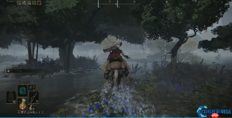 艾尔登法环地图设计巅峰:五大必去区域的极致体验