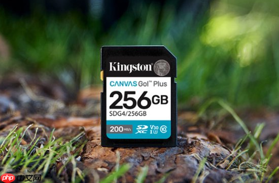 Vlog全能卡金士顿CanvasGo!Plus系列