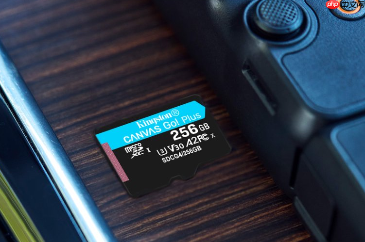 Vlog全能卡金士顿CanvasGo!Plus系列