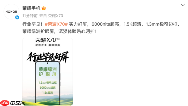 高端机才配谈护眼吗？荣耀X70支持旗舰级绿洲护眼屏