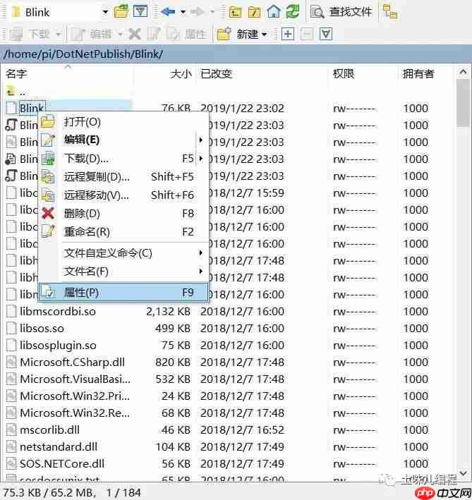 张高兴的 .NET IoT 入门指南：（一）环境配置、Blink、部署