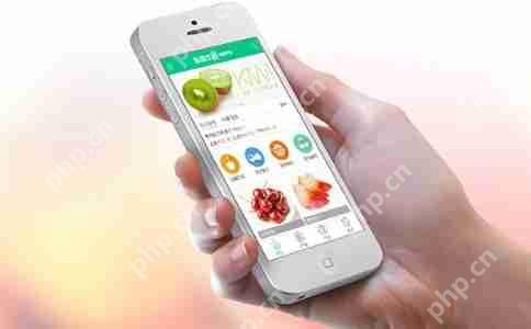 商城app开发多少钱?影响电商app开发费用的4大关键