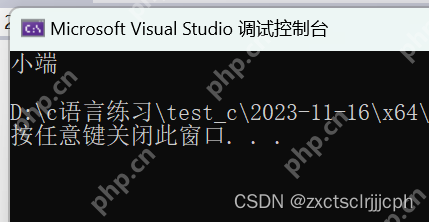 【C语言】数据在内存中的存储