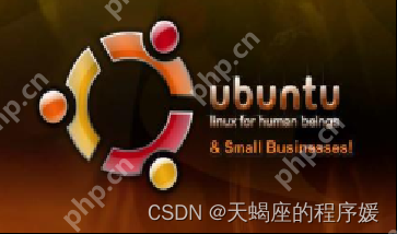 第一章:软件工程师必备的硬件基础