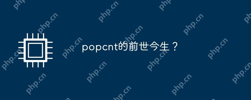 popcnt的前世今生？
