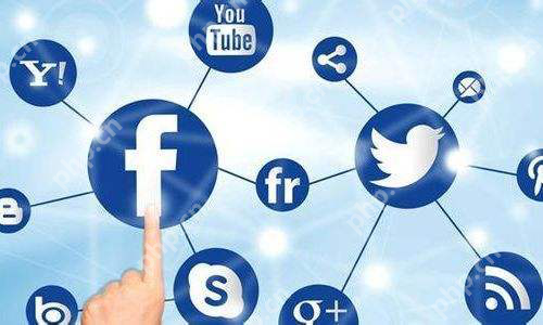 社交电商崛起,如何抓住2019较大的创业红利?