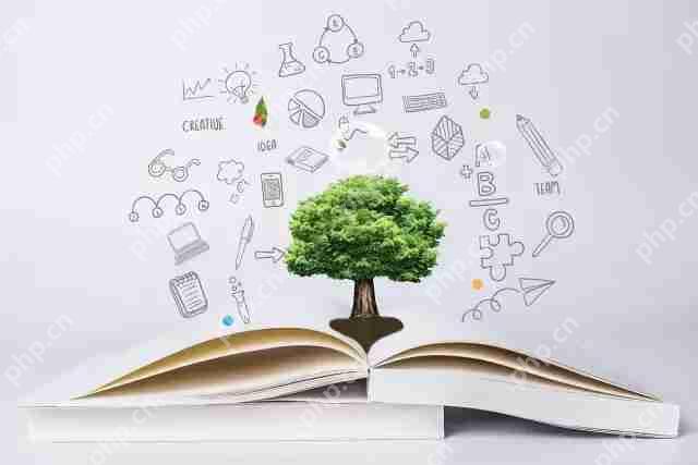 社交电商崛起,如何抓住2019较大的创业红利?